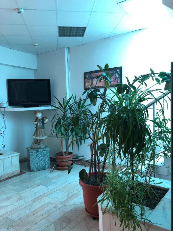 Motel - Vlasca  12, Categorie 3 Stele, GIURGIU (GR)